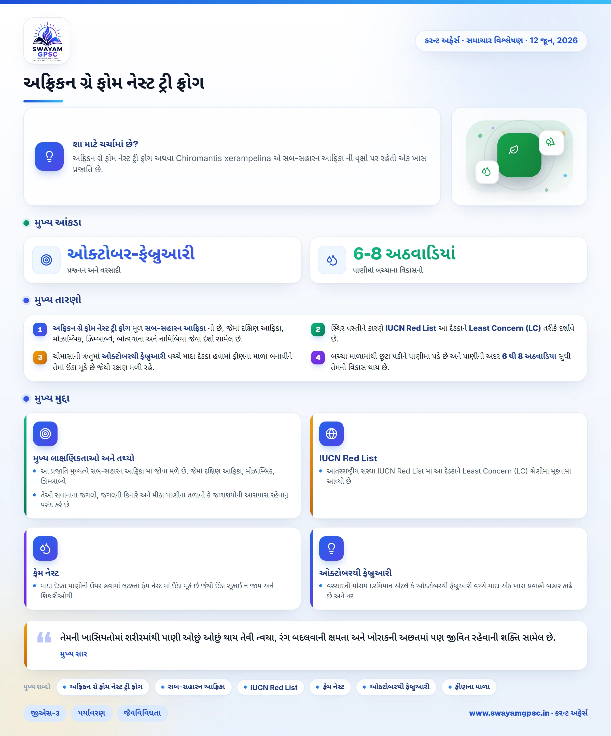 અફ્રિકન ગ્રે ફોમ નેસ્ટ ટ્રી ફ્રોગ