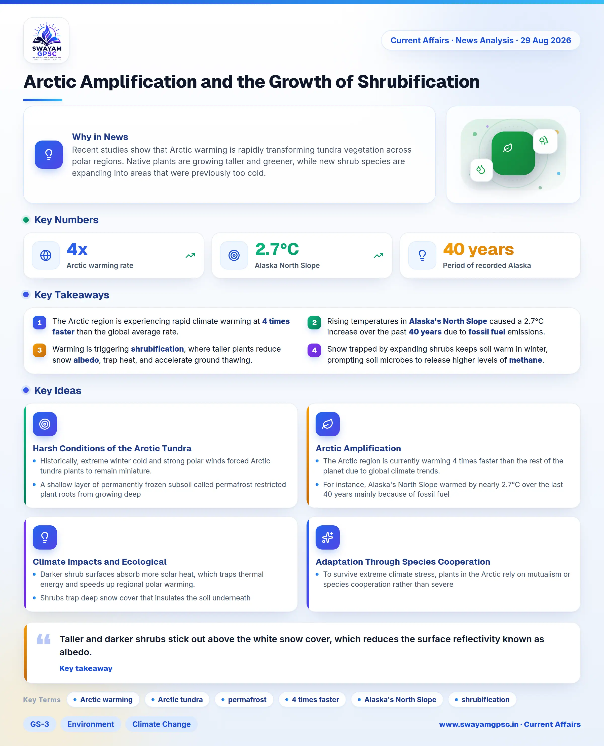 Arctic Amplification and the Growth of Shrubification