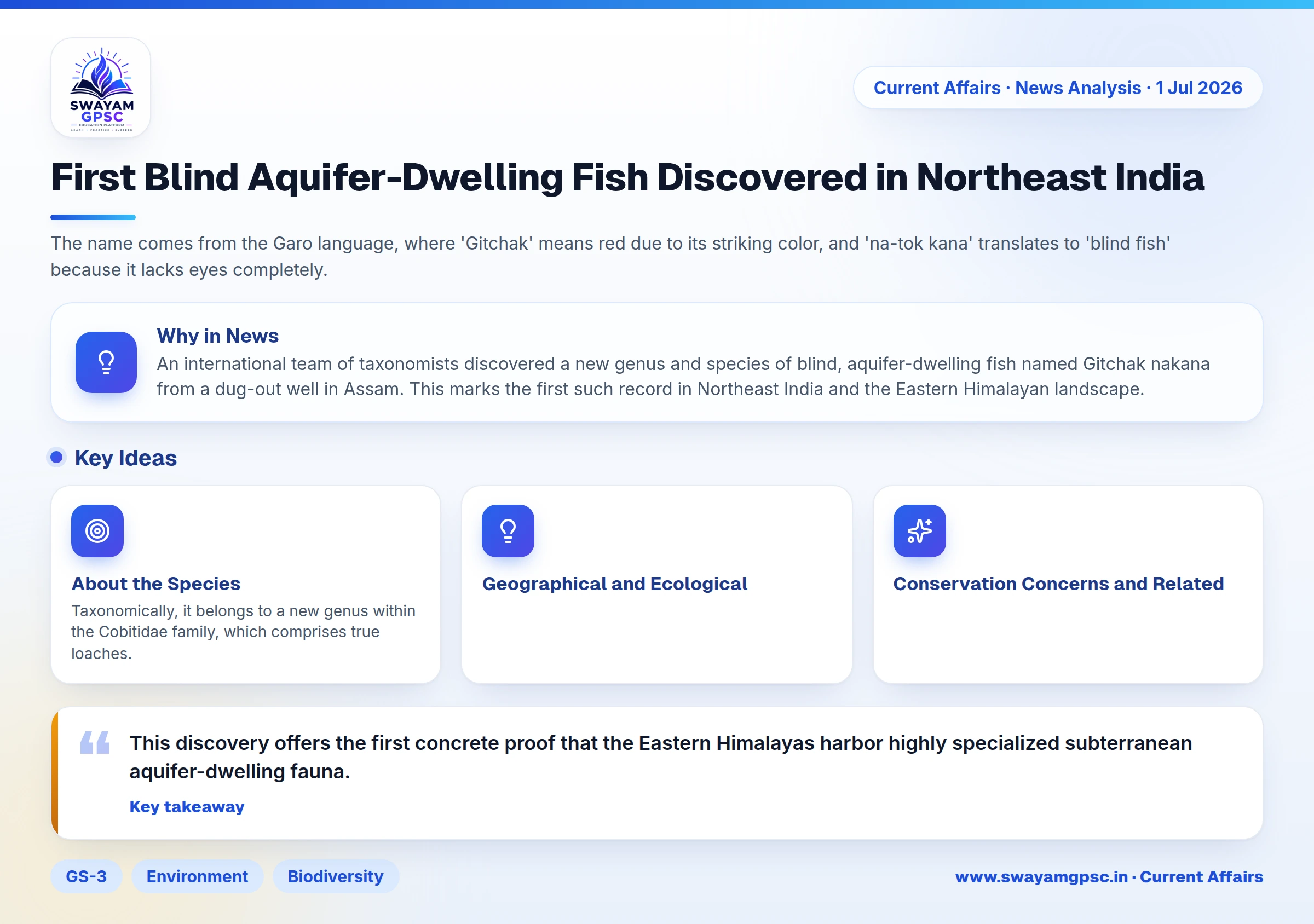 First Blind Aquifer-Dwelling Fish Discovered in Northeast India