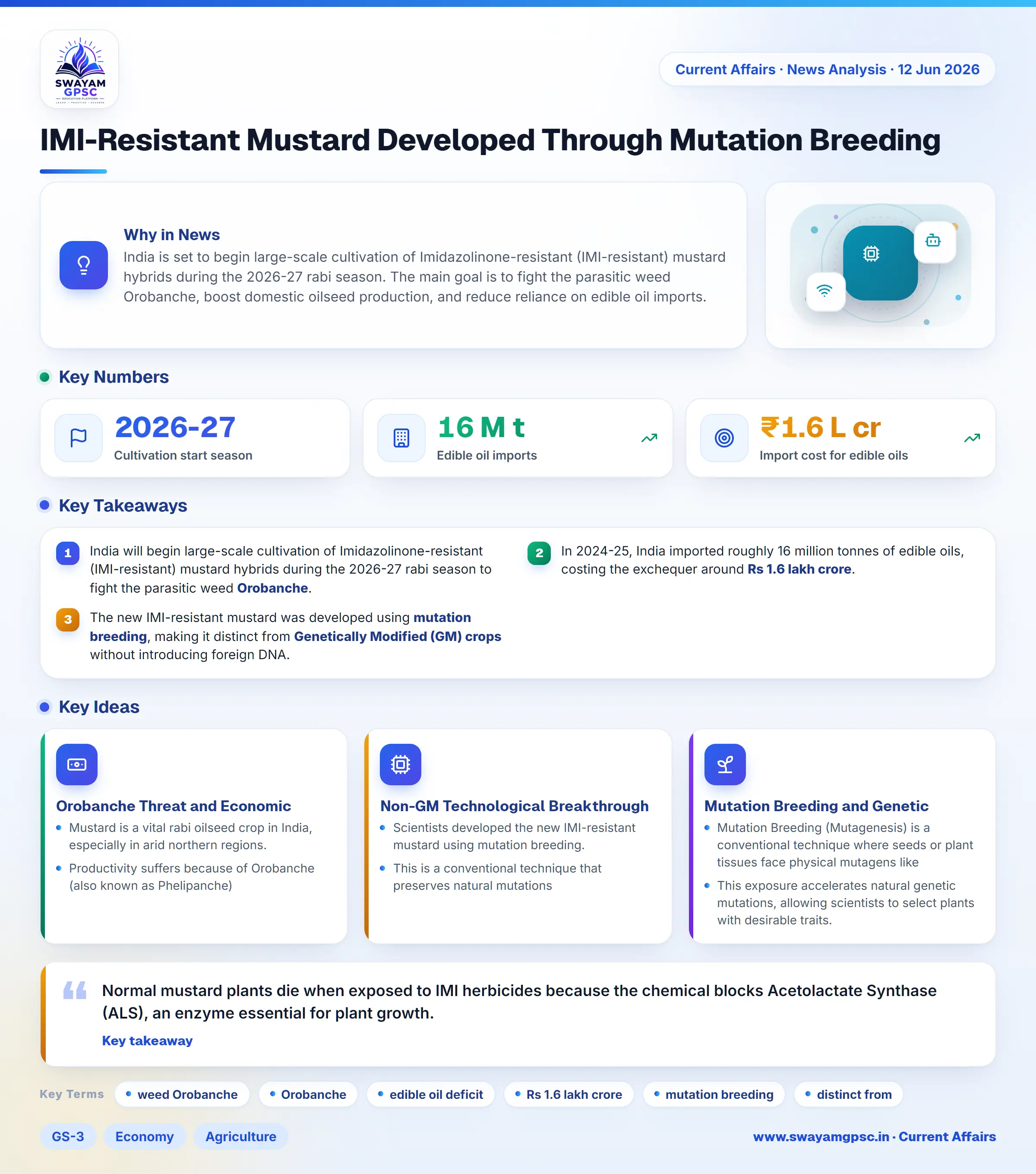 IMI-Resistant Mustard Developed Through Mutation Breeding