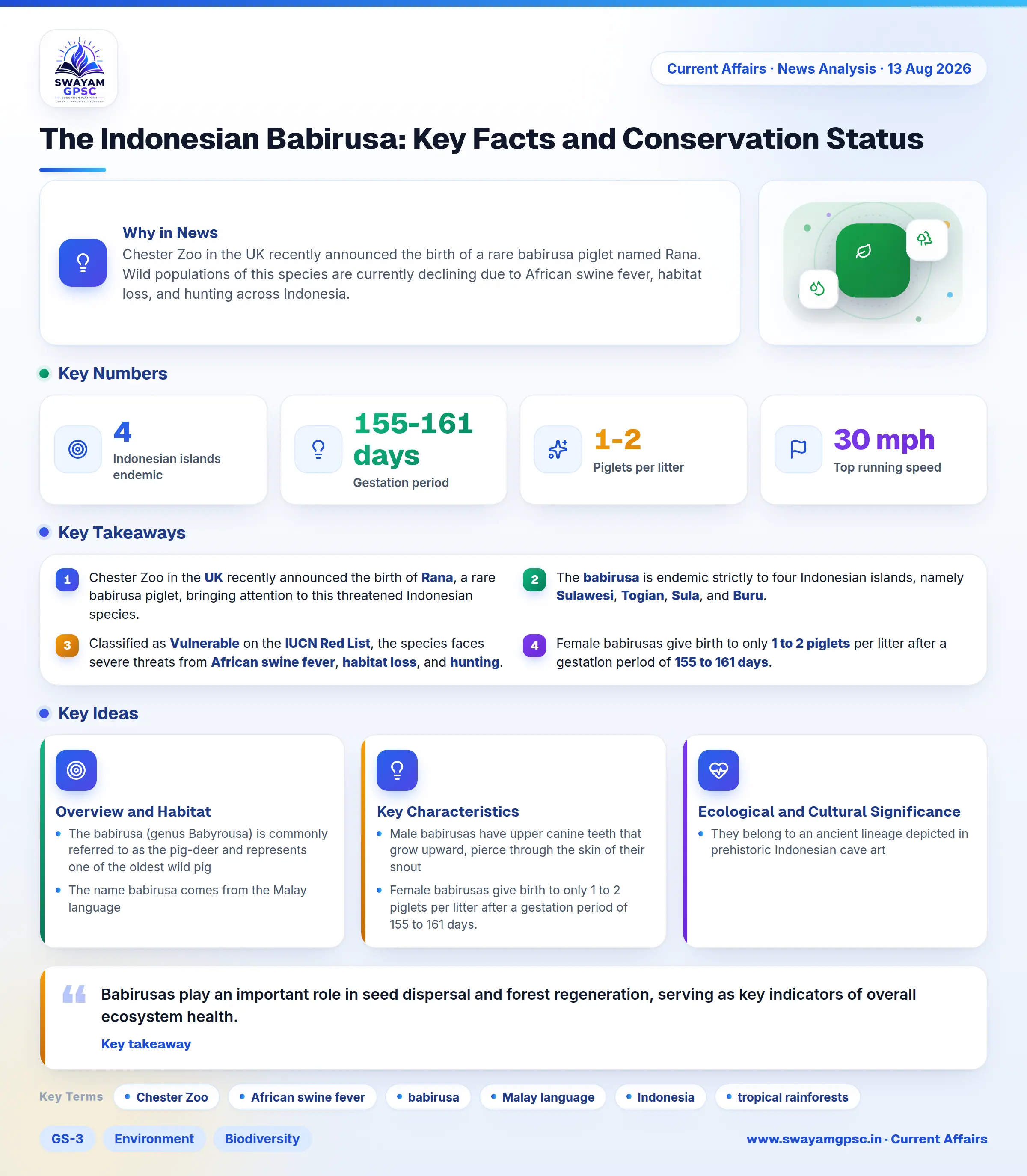 The Indonesian Babirusa: Key Facts and Conservation Status