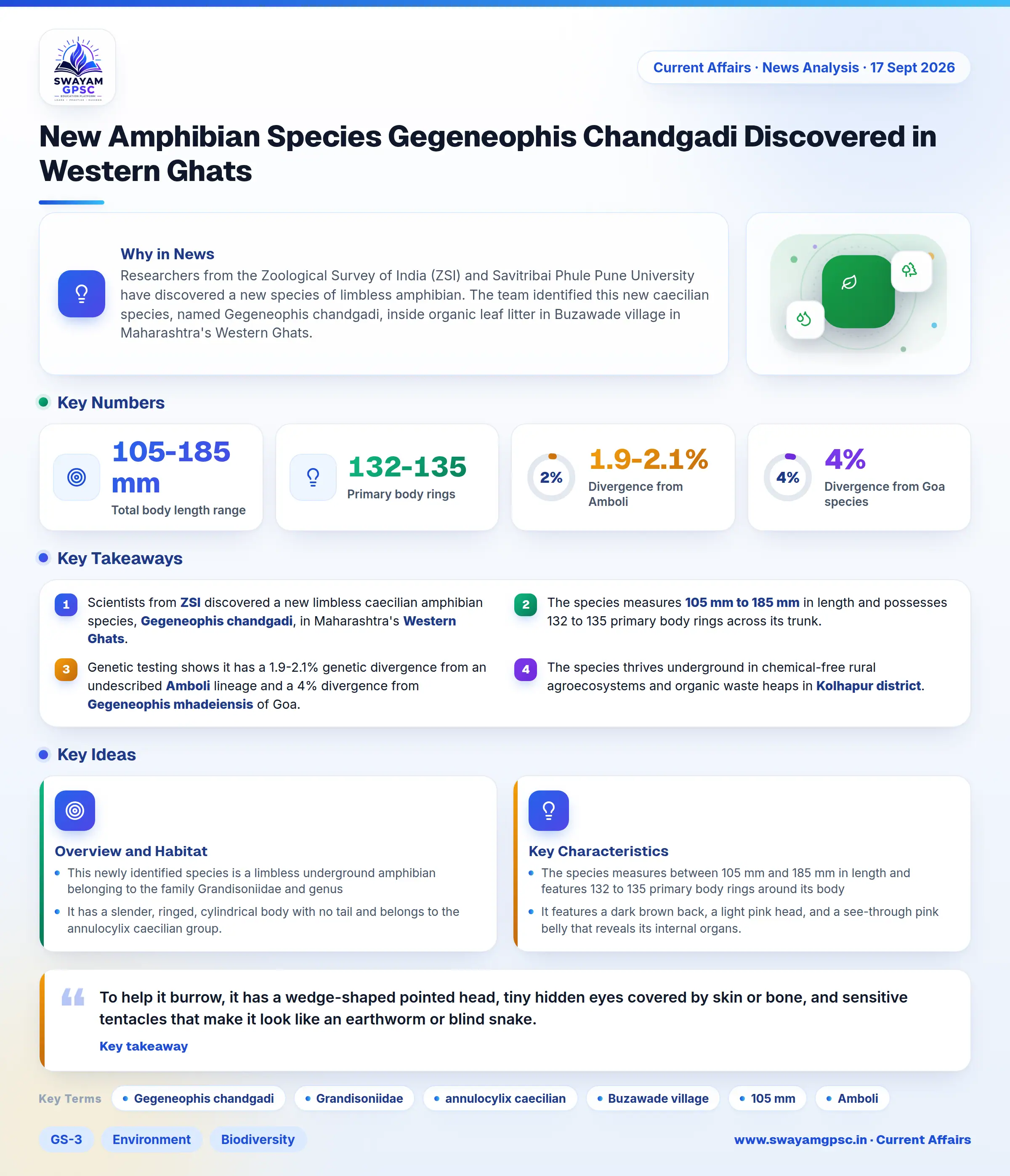 New Amphibian Species Gegeneophis Chandgadi Discovered in Western Ghats