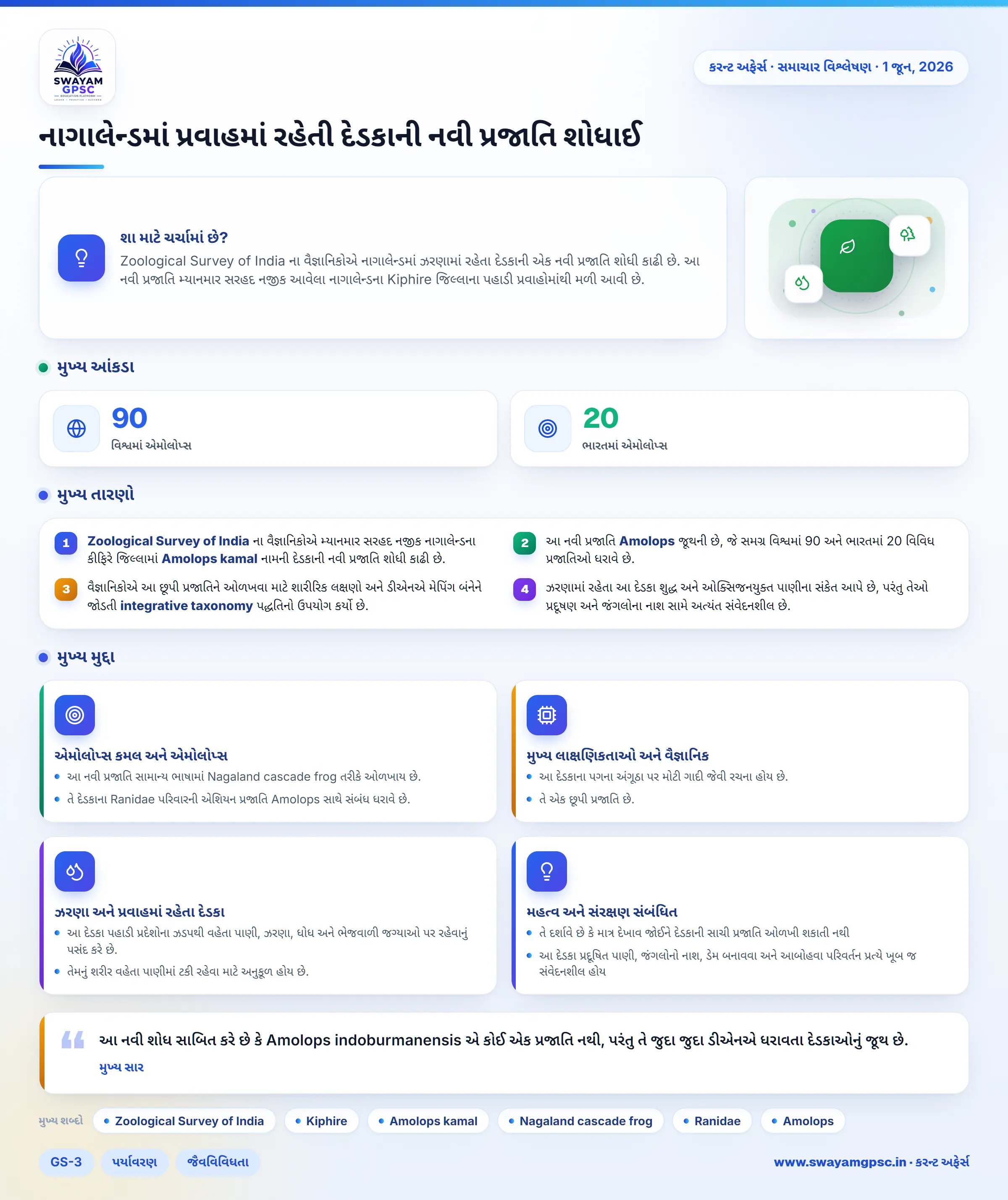 નાગાલેન્ડમાં પ્રવાહમાં રહેતી દેડકાની નવી પ્રજાતિ શોધાઈ