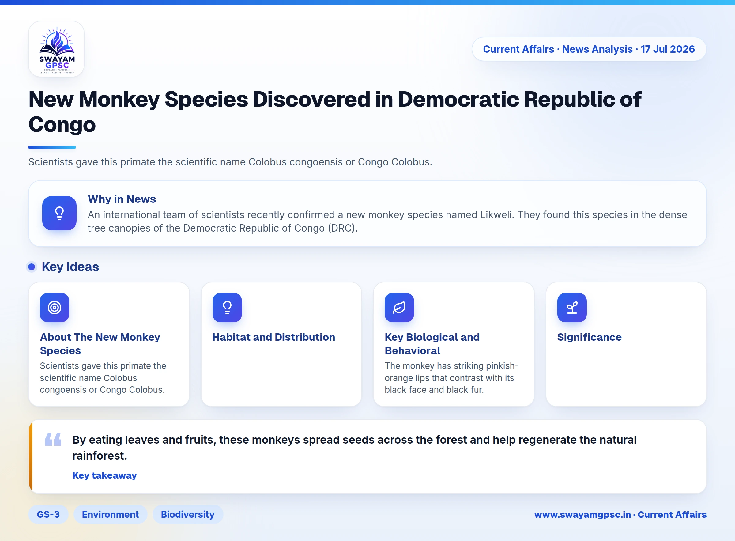 New Monkey Species Discovered in Democratic Republic of Congo