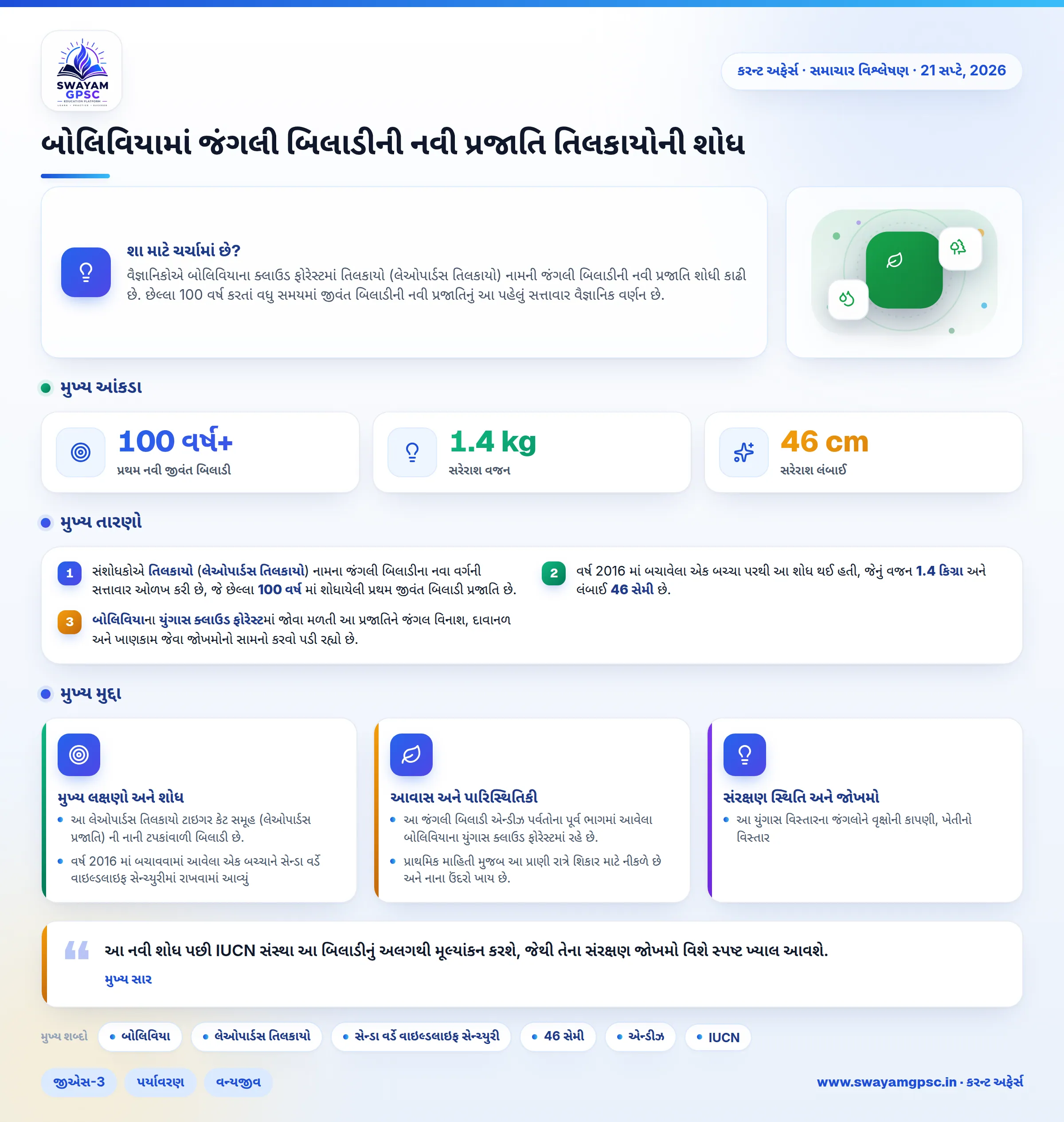 બોલિવિયામાં જંગલી બિલાડીની નવી પ્રજાતિ તિલકાયોની શોધ